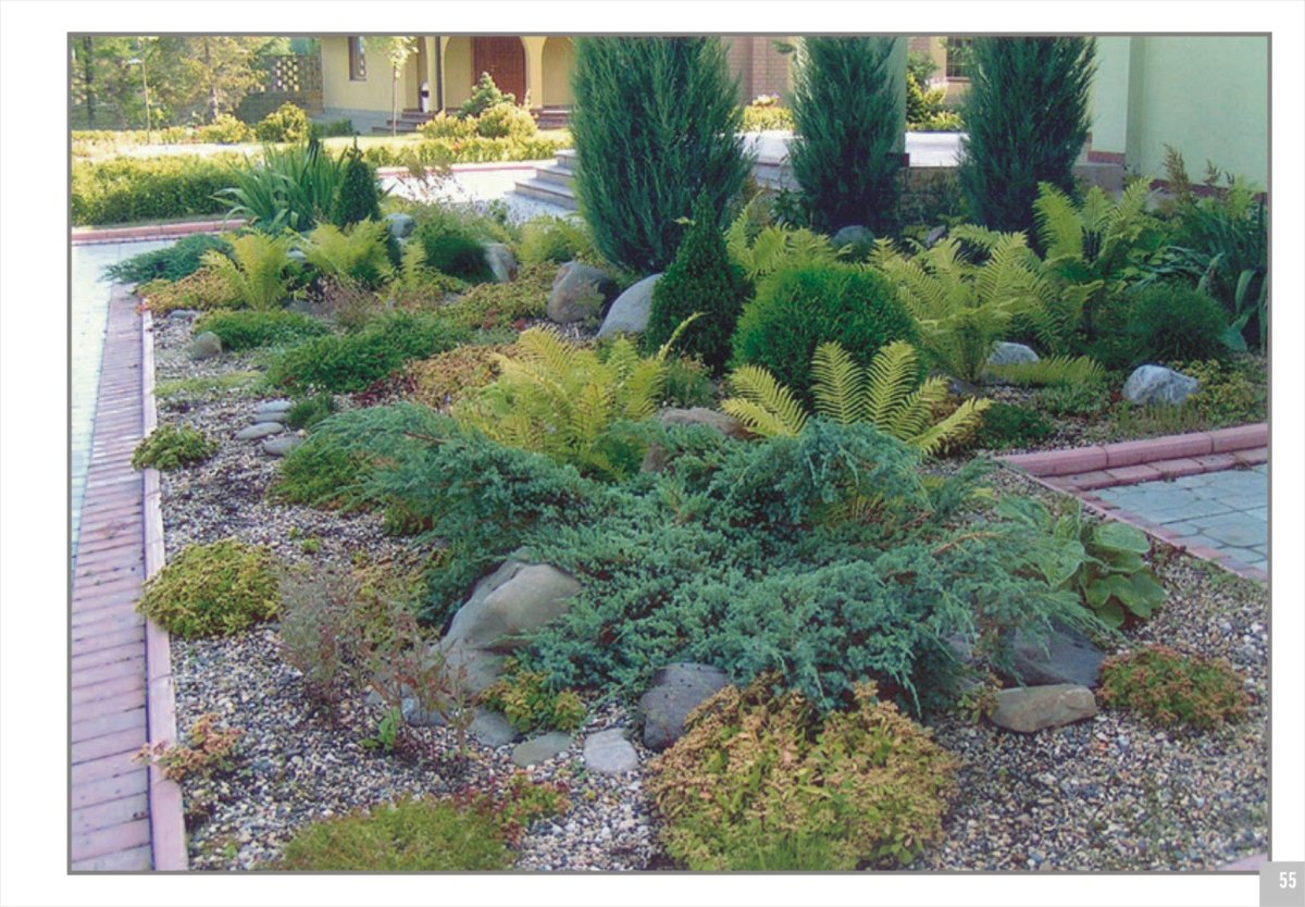 Рокарий с хвойниками