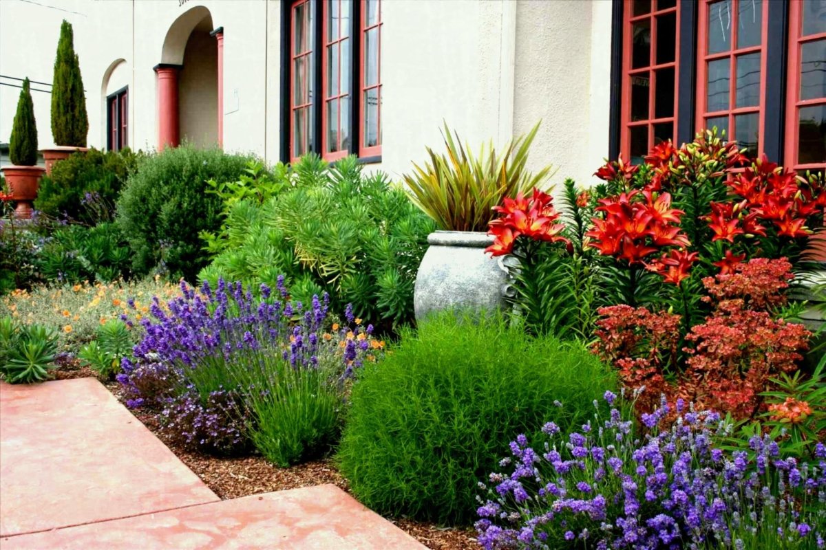 Шалфей Дубравный Вероника рудбекия ландшафт