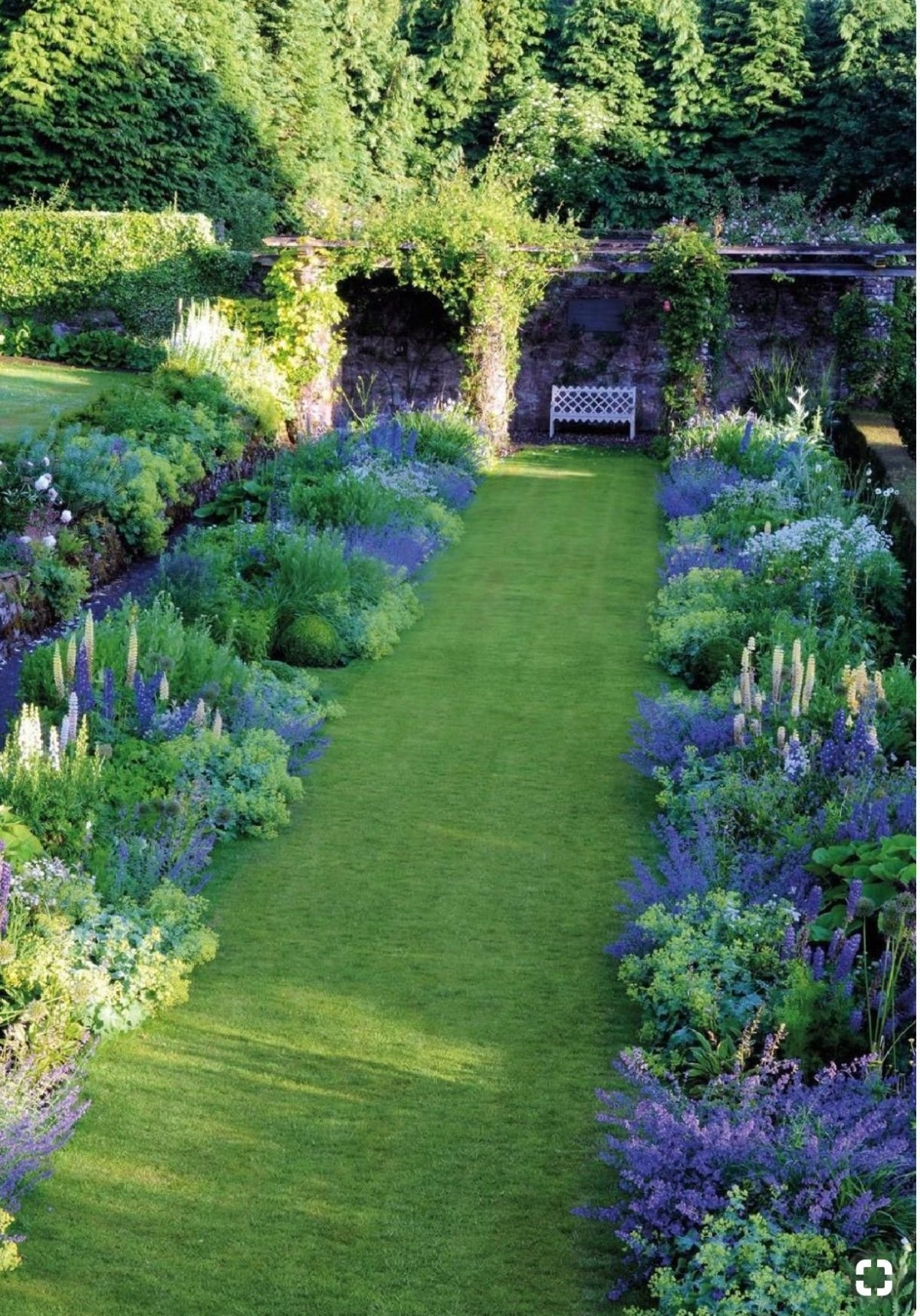 Миксбордеры Вероника голубая