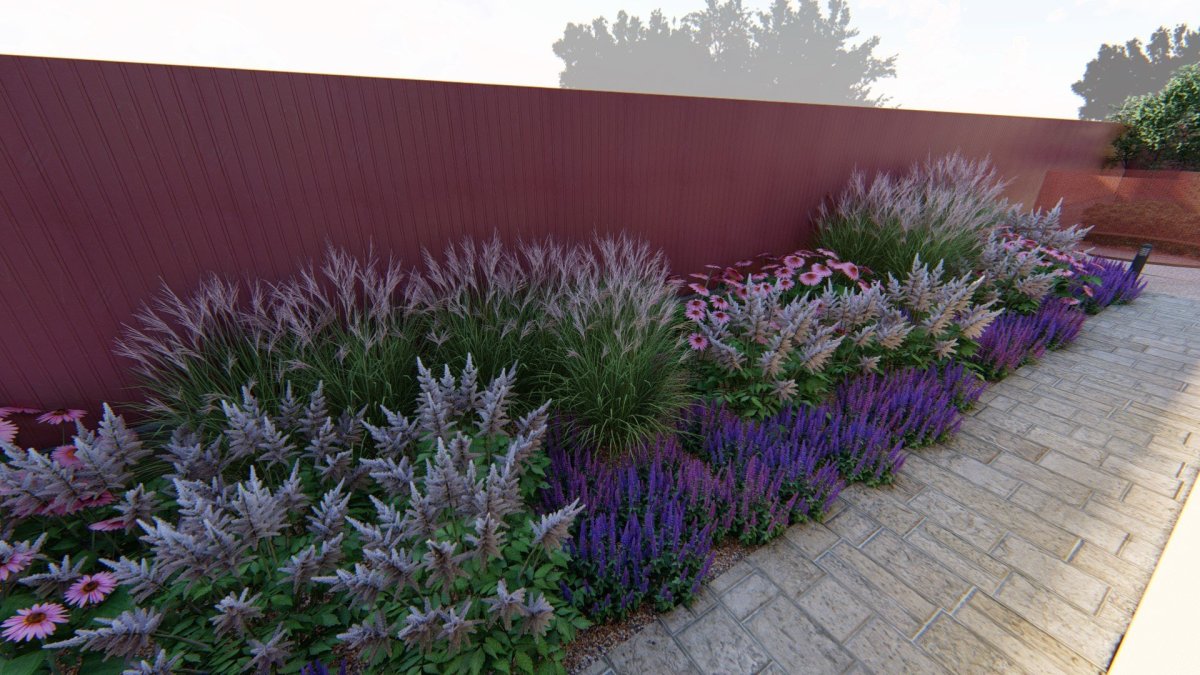 Котовник Фассена фиолетовый