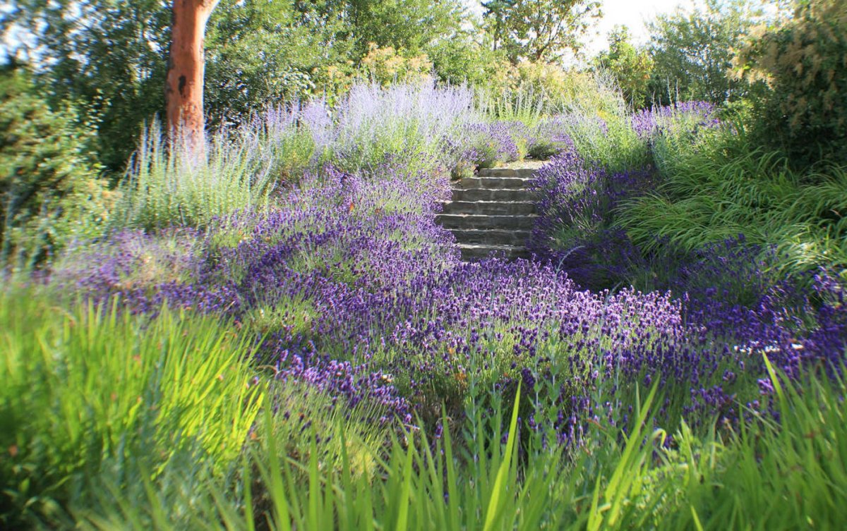 Сады пита Удольфа