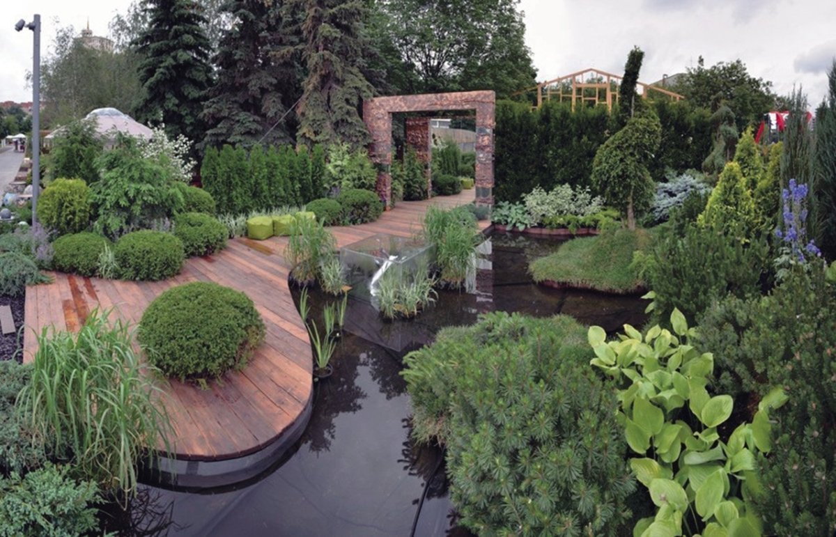 Светлана Чижова ландшафтный дизайнер