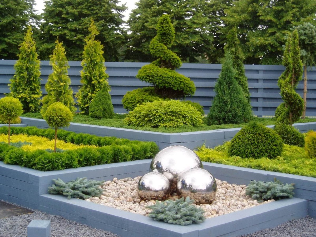 Туя Даника Ауреа