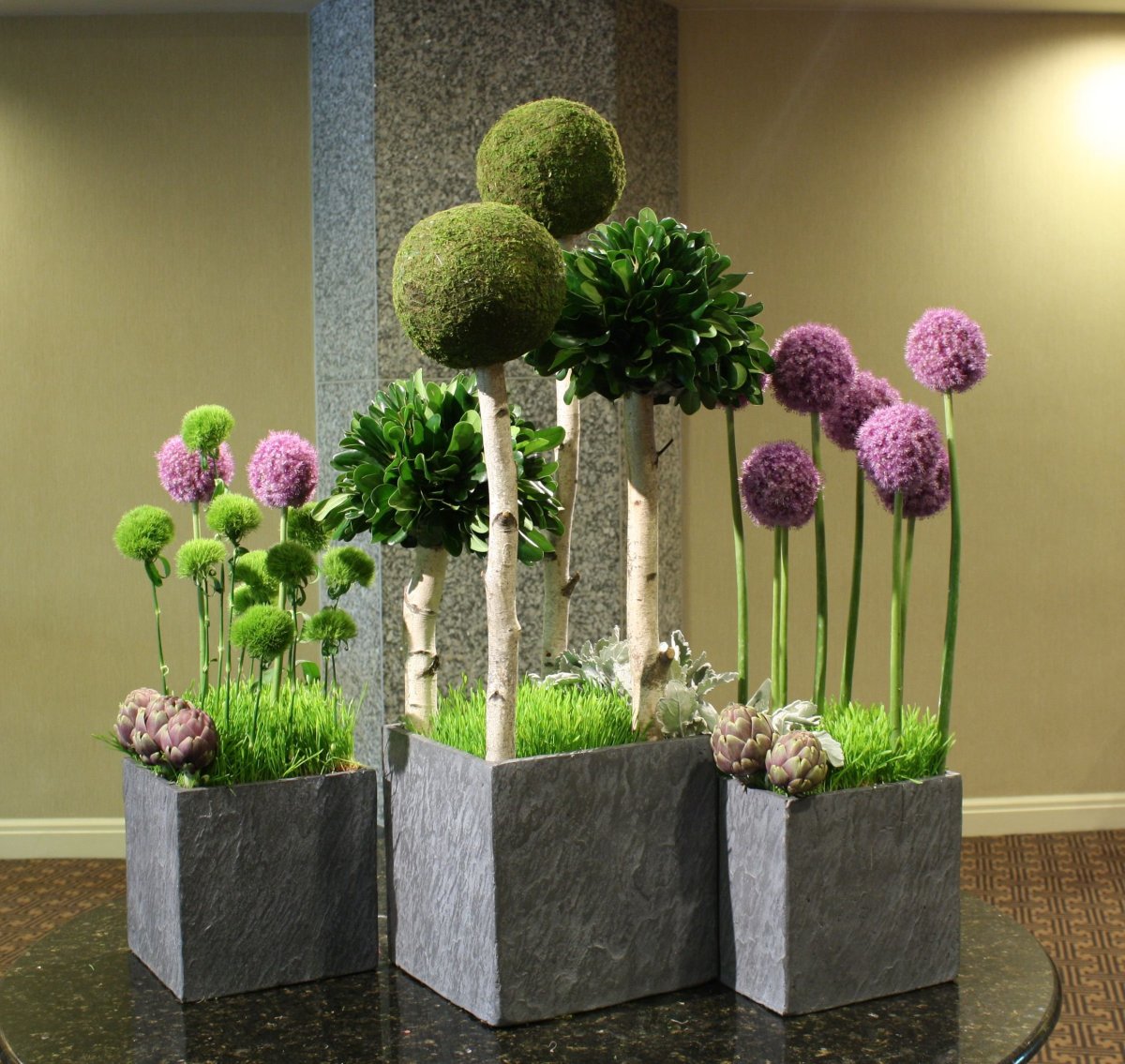 Аллиум флористика