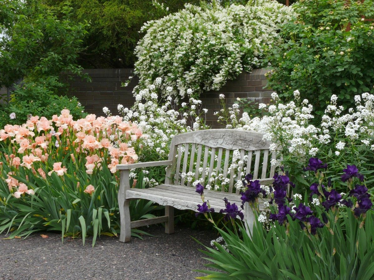 Миксбордер Кантри