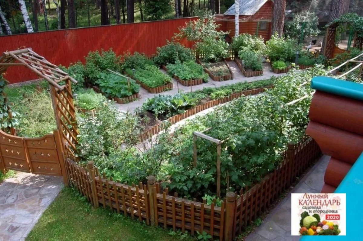 Грядки на даче