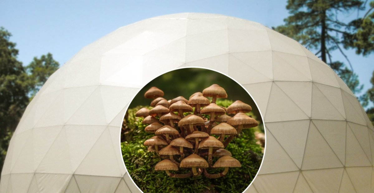 Павильон "геокупол" ø6 м сталь/ПВХ белый