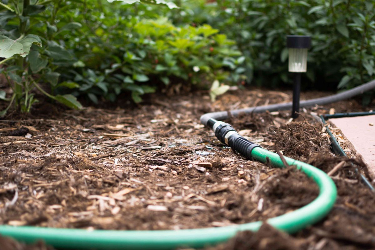 Drip Irrigation Garden корня