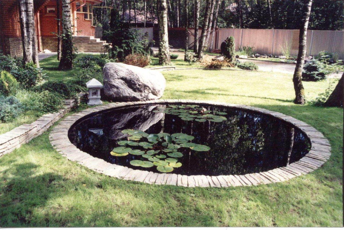 Огородный прудик