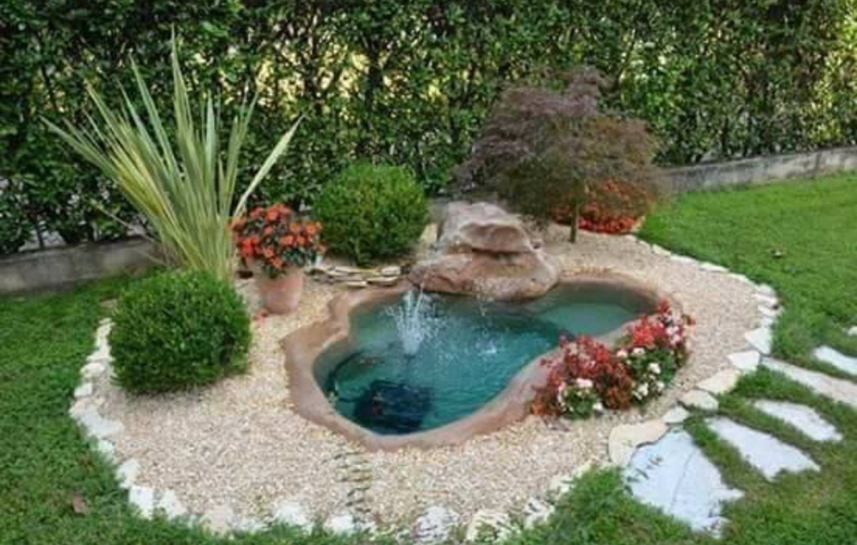 Огородный прудик