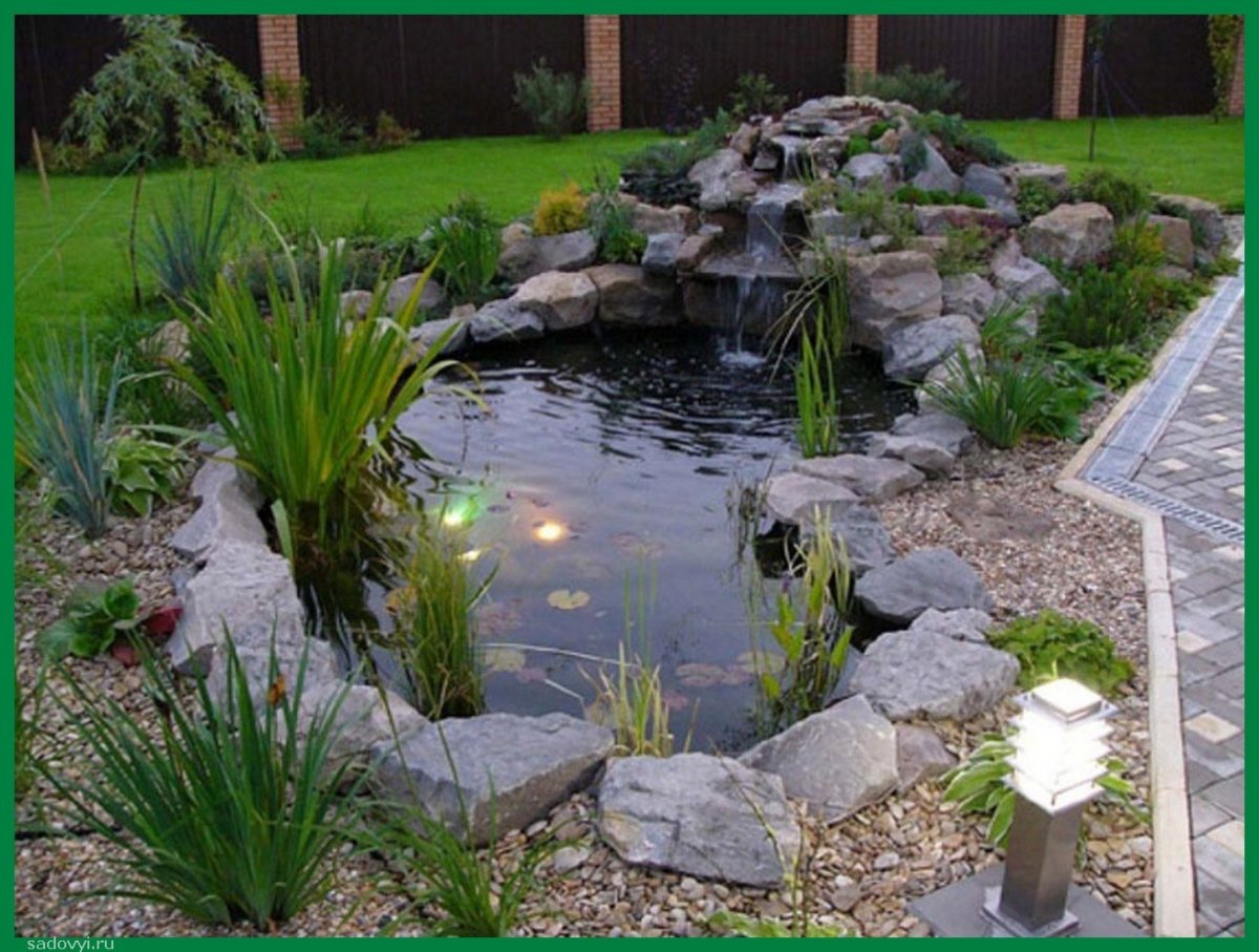 Огородный прудик