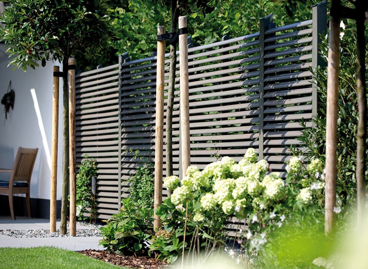 Маттео Джованетти шпалеры