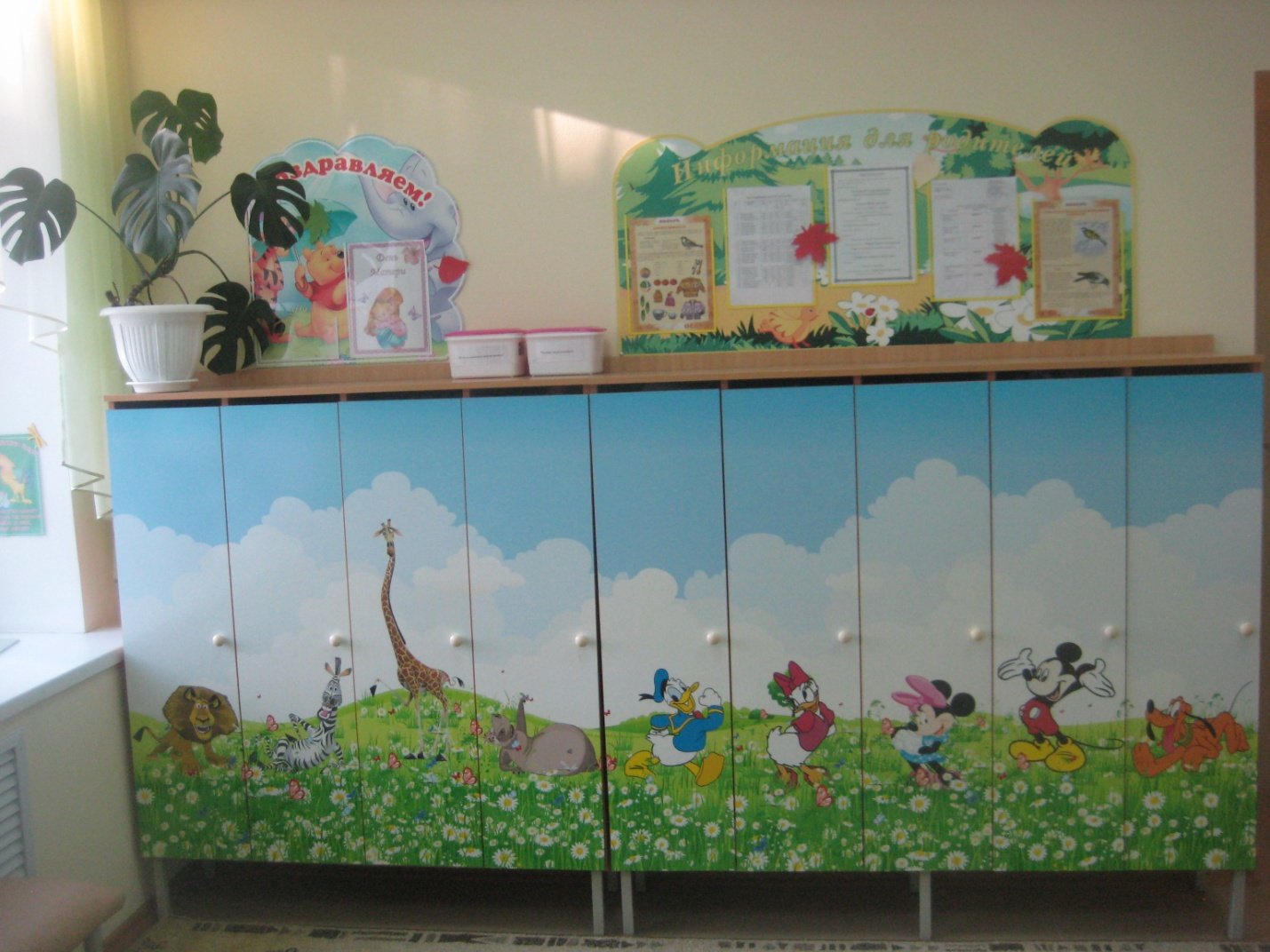 Уголок природы на стене в детском саду