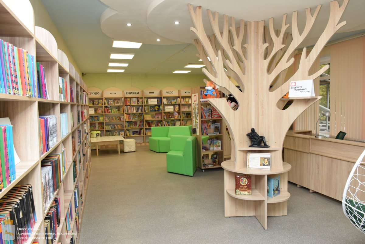 Библиотека Лукоморье Шадринск