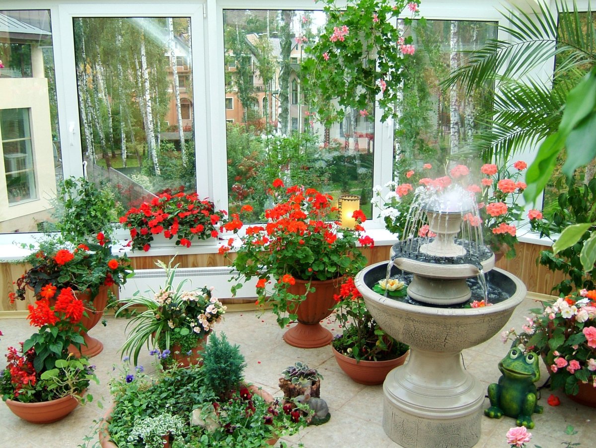 Сад оранжерея на балконе