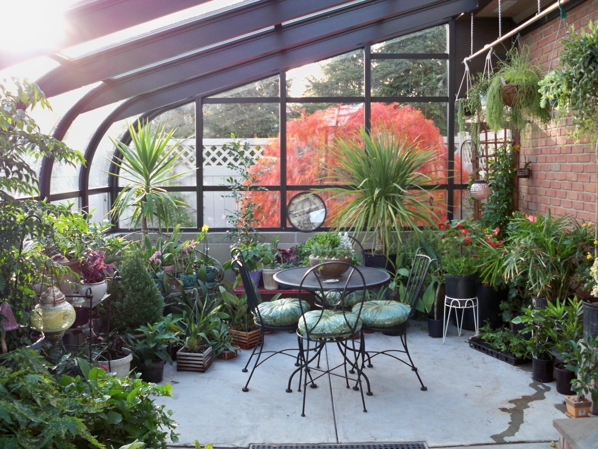 Оранжерея в квартире