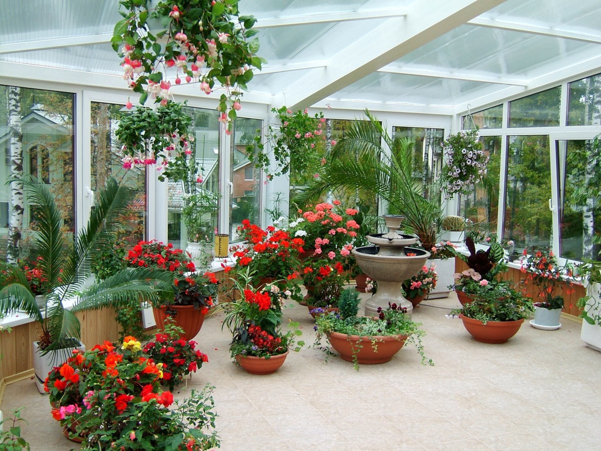 Цветы на застекленном балконе