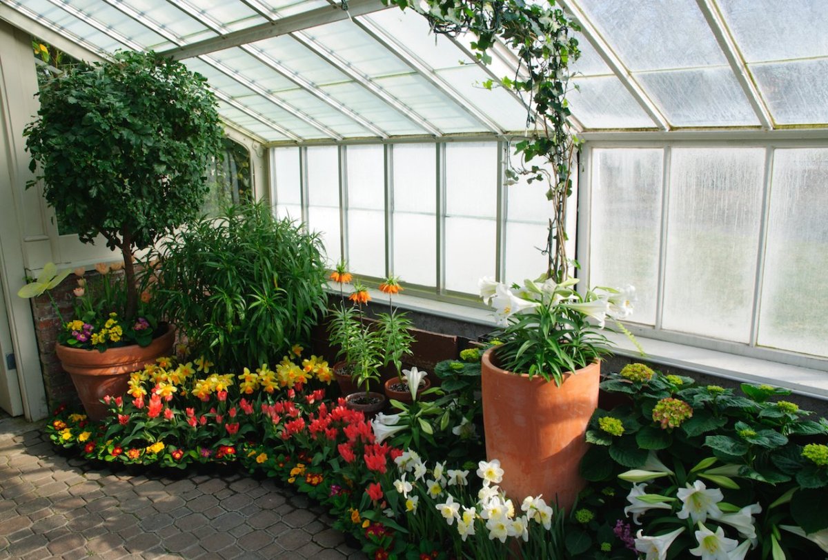 Стеллажи оранжерея