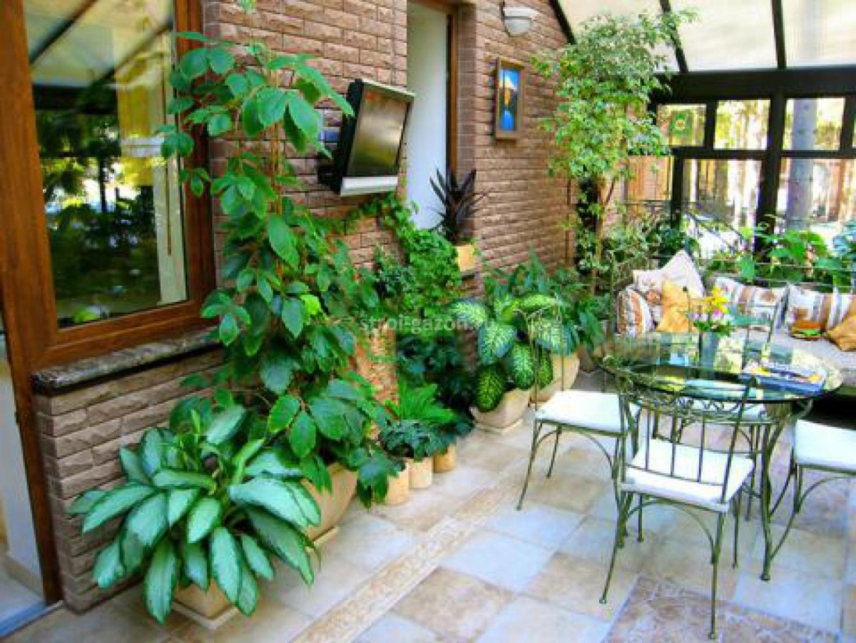 Phytodesign зимний сад