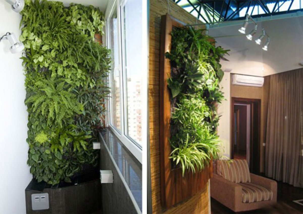 Зеленый уголок в квартире