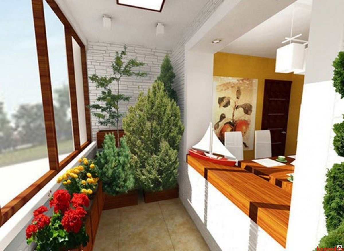 Зимний сад на лоджии