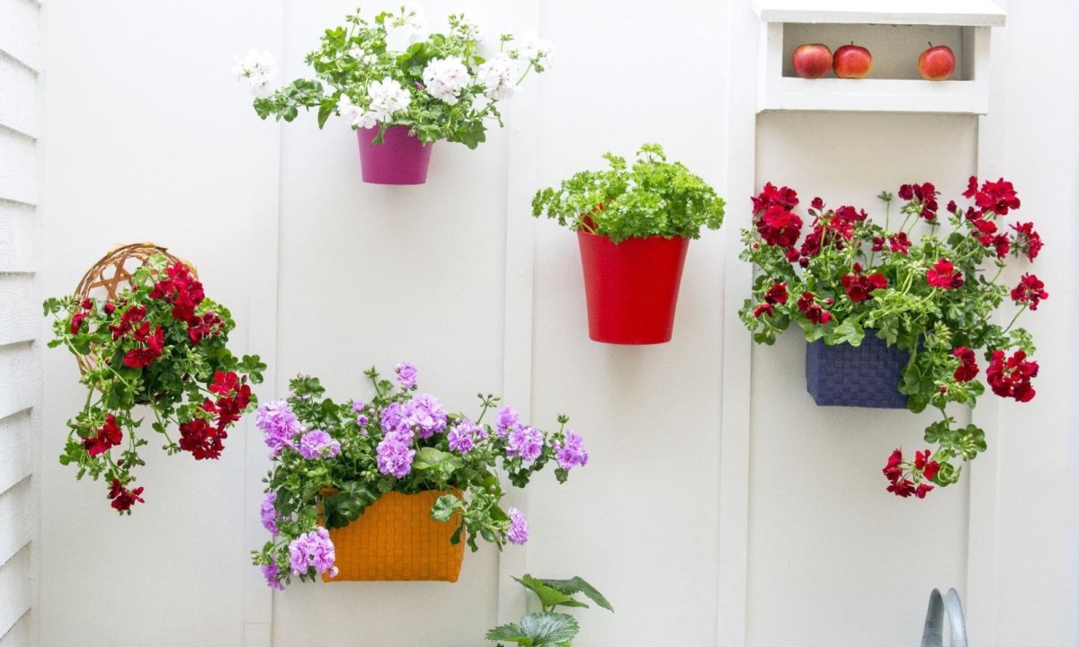 Дисплей с горшками для растений triflora подвесной