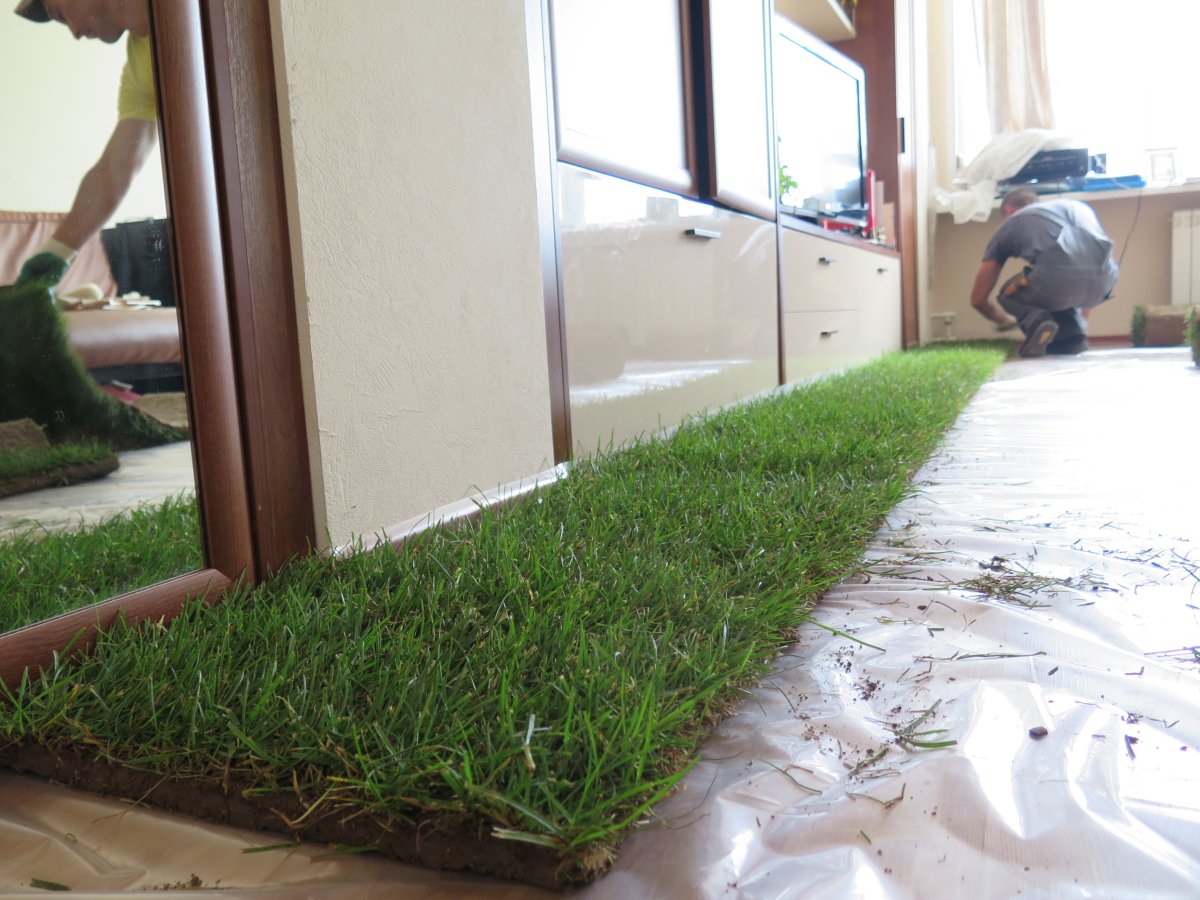 Искусственный газон