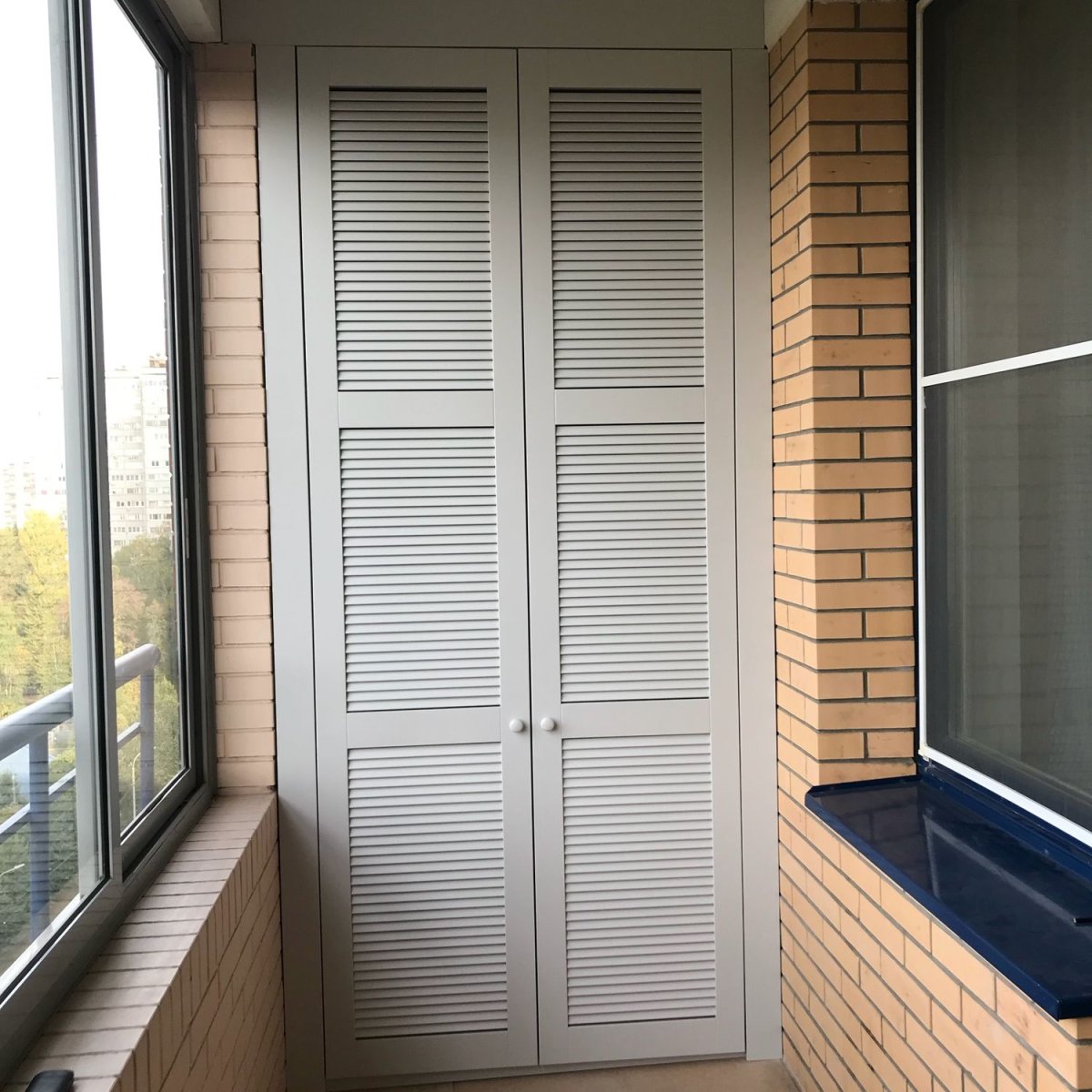Двери для шкафа на балконе