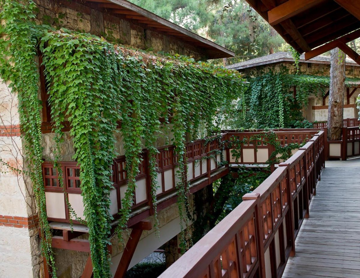 Балкон увитый плющом