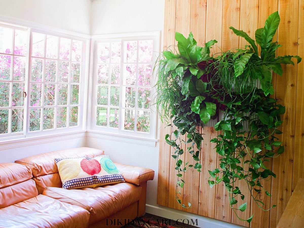 Вьющиеся растения на окне