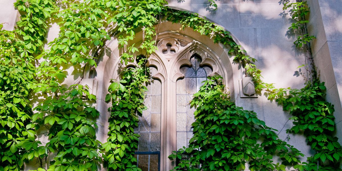 Балкон обвешанный плющом