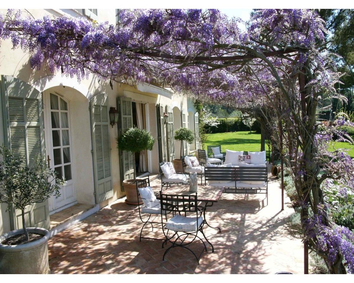 Ялтинский дворик Ялта