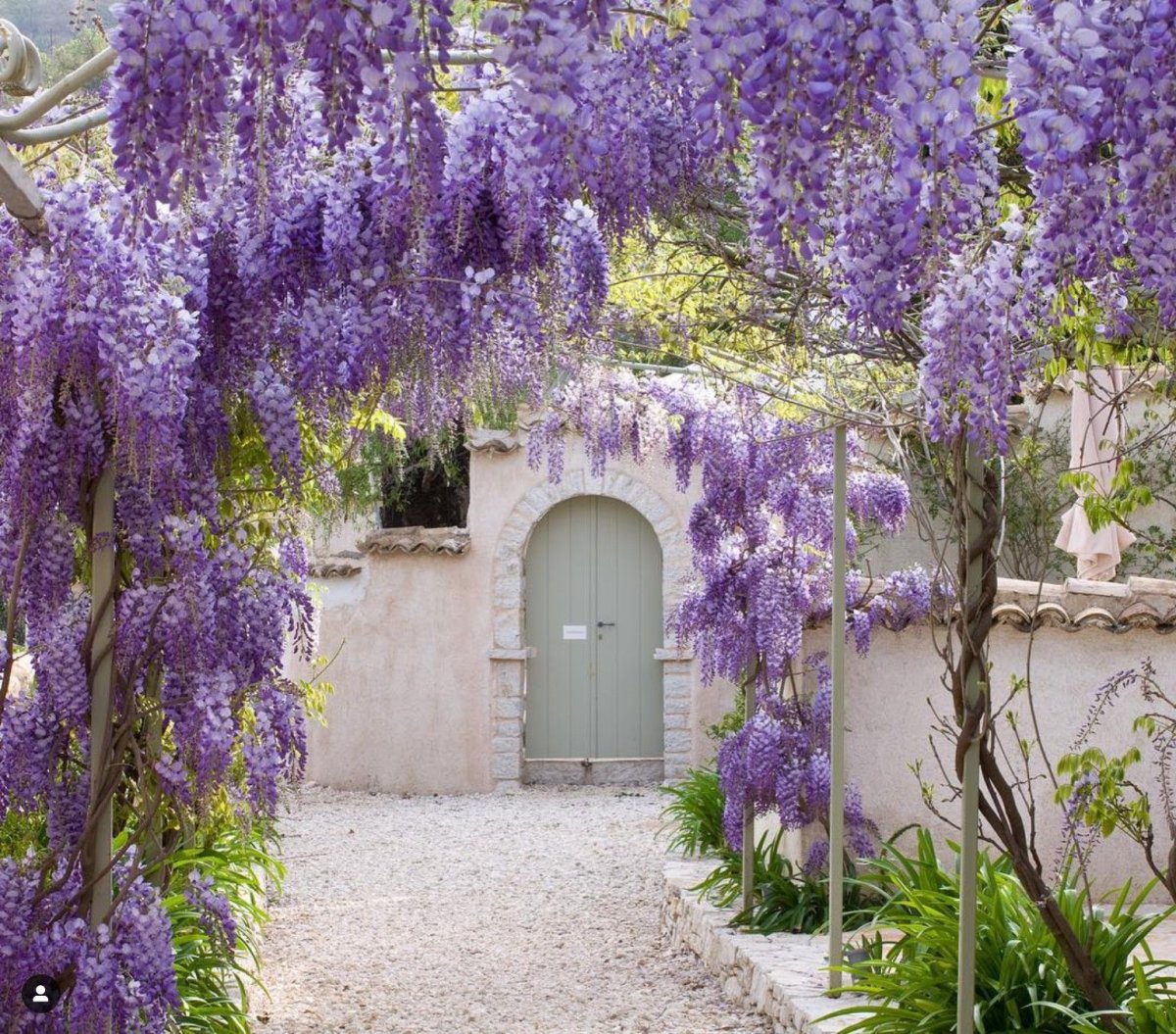 Ресторан с фиолетовыми цветами