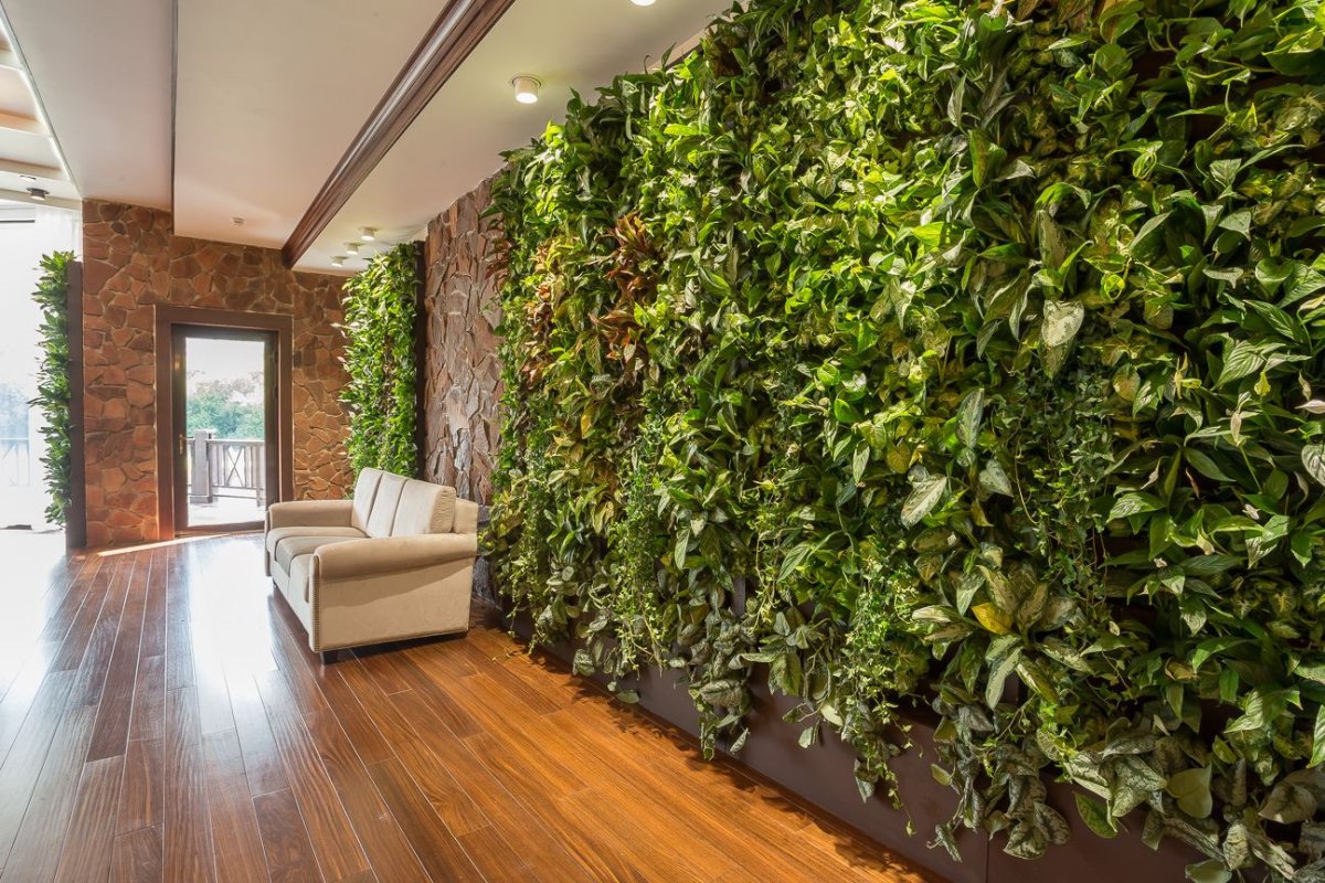 Ботанический сад на балконе