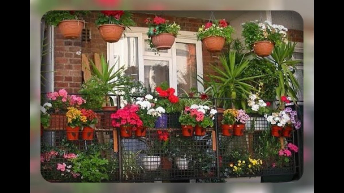 Цветы на балконе
