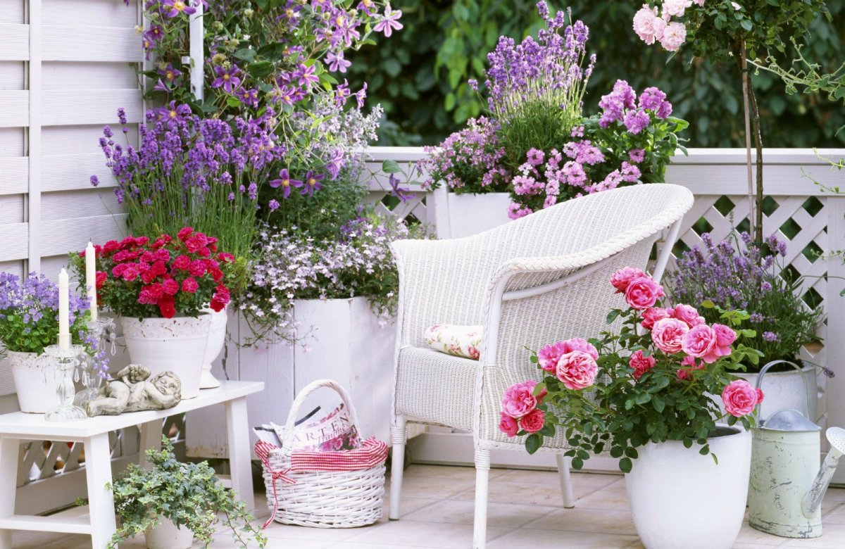 Цветы на веранде