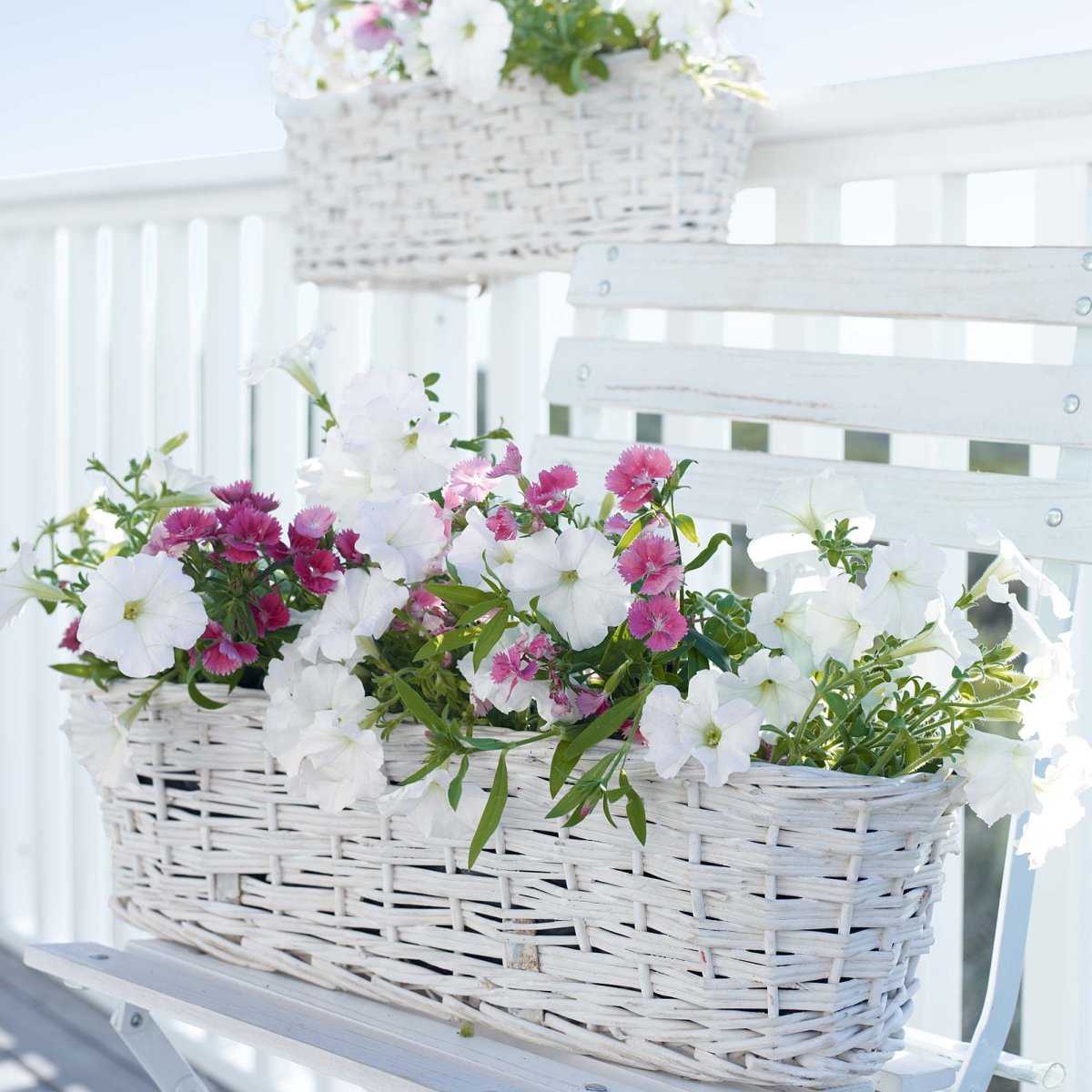 Цветочные композиции на балконе