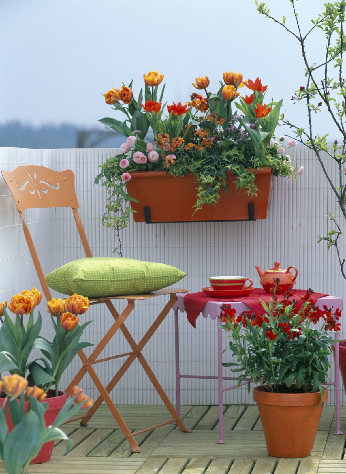 Разноцветные цветочные горшки на веранде