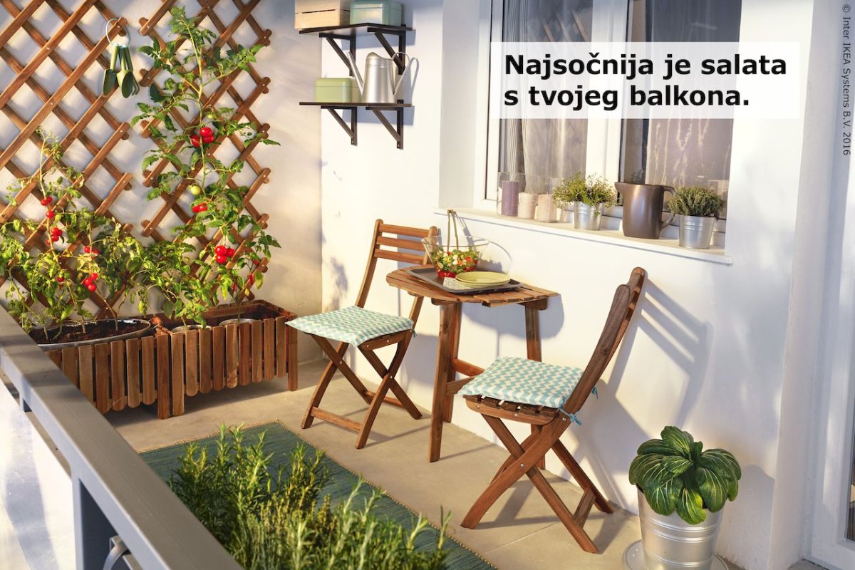 АСКХОЛЬМЕН шпалера