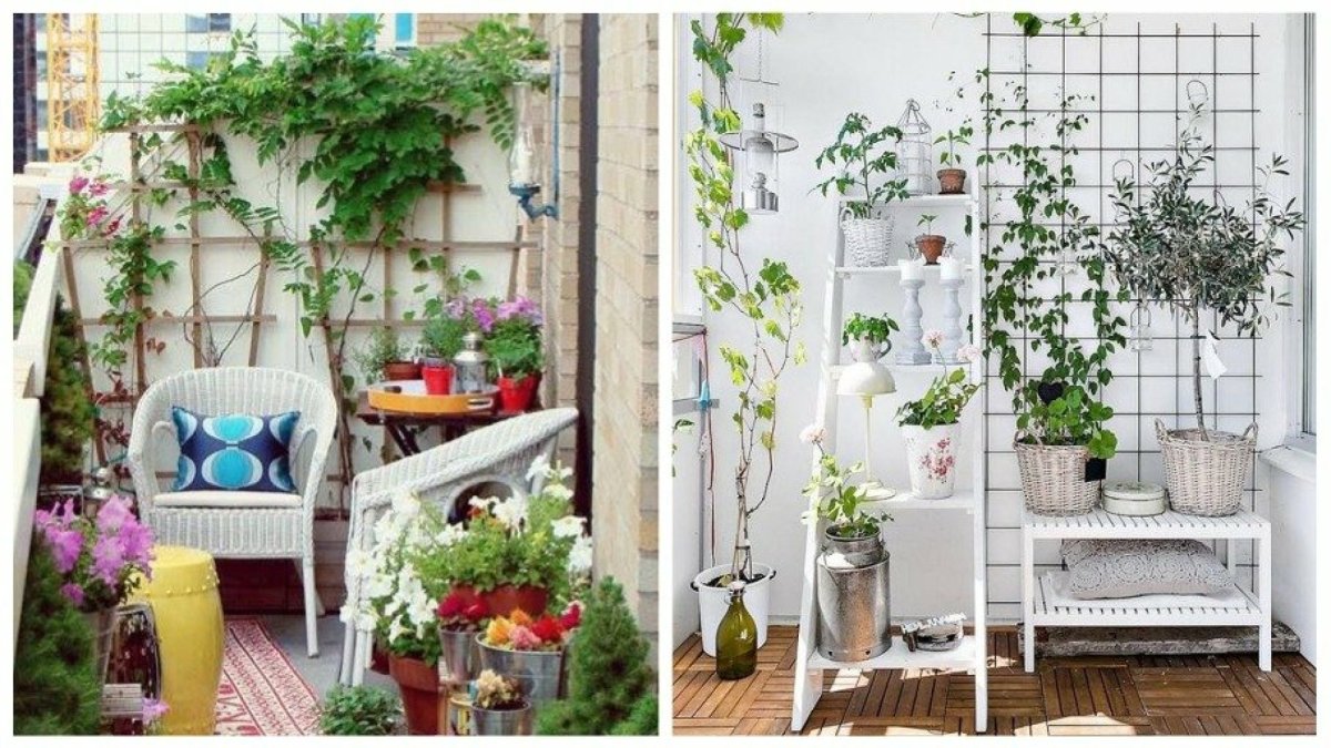 Шпалера для цветов на балконе