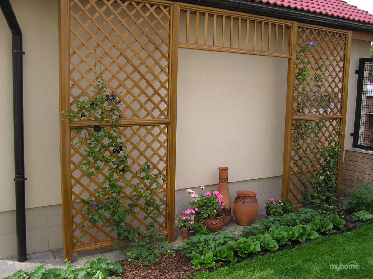 Шпалера на хозпостройке