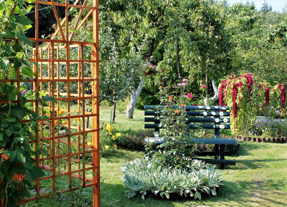 Сад. Уютные уголки сада огорода.фото