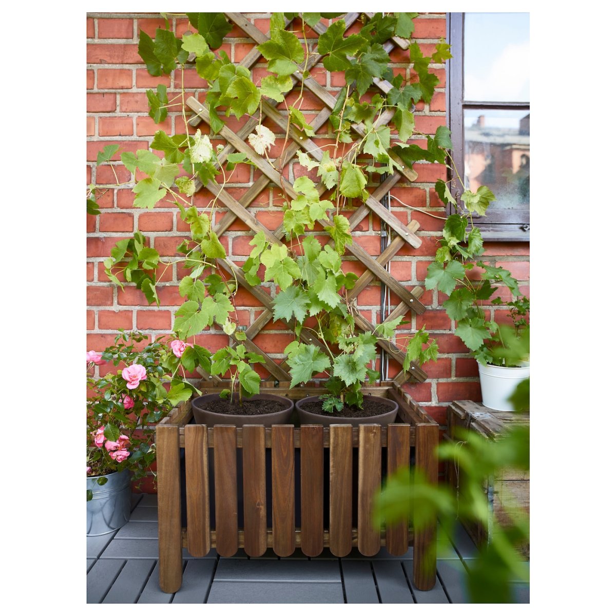 ASKHOLMEN АСКХОЛЬМЕН шпалера