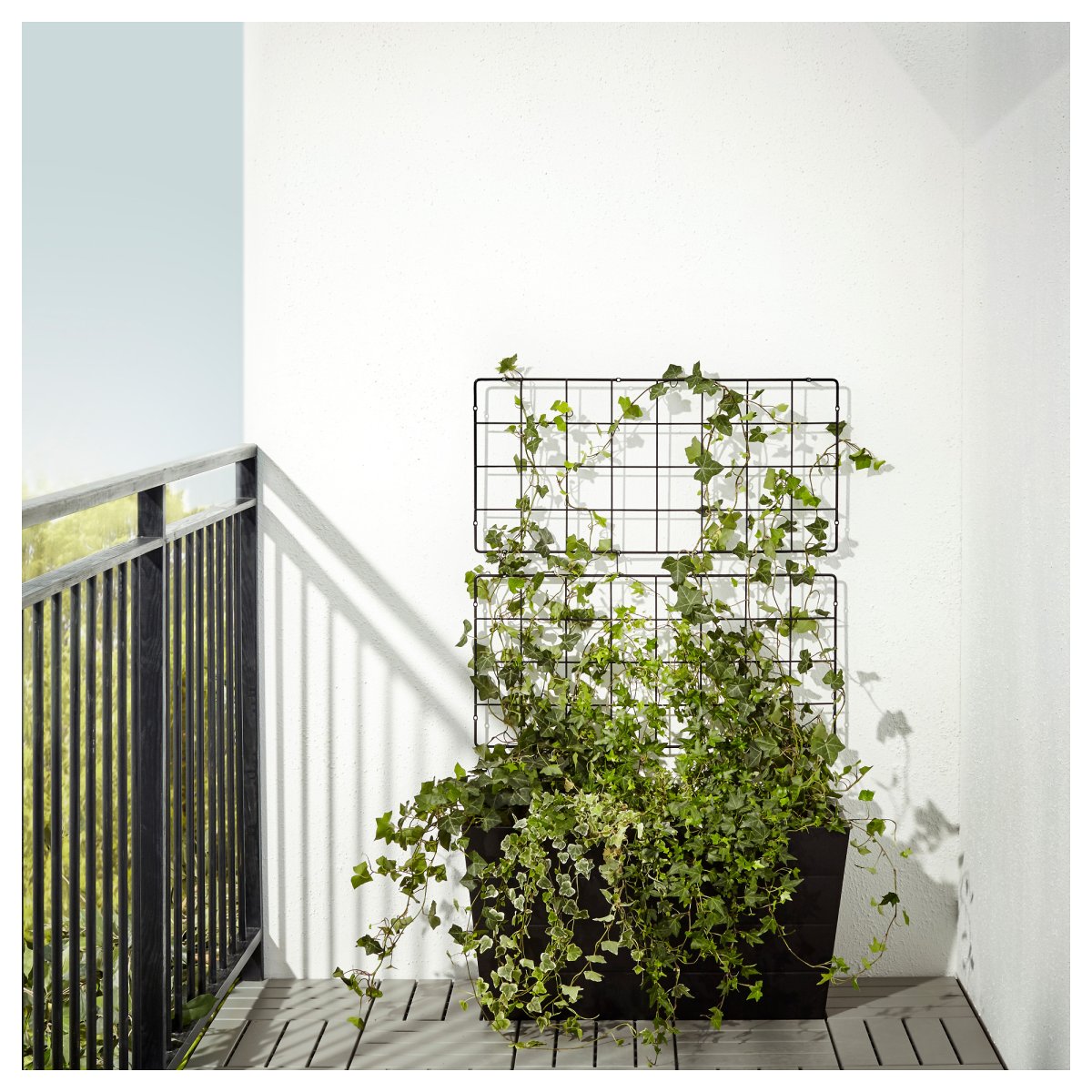 ASKHOLMEN шпалера