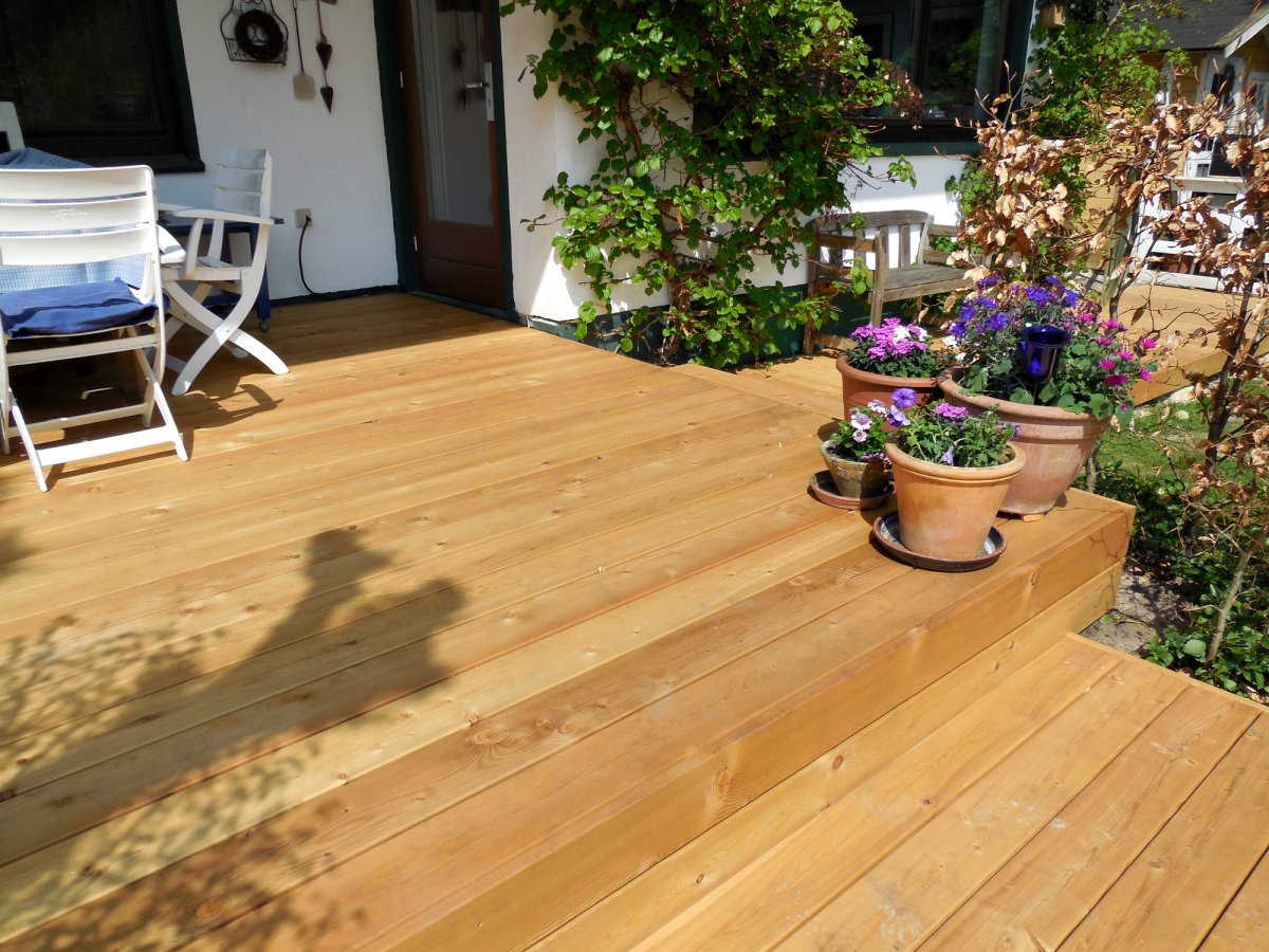 Планкен лиственница