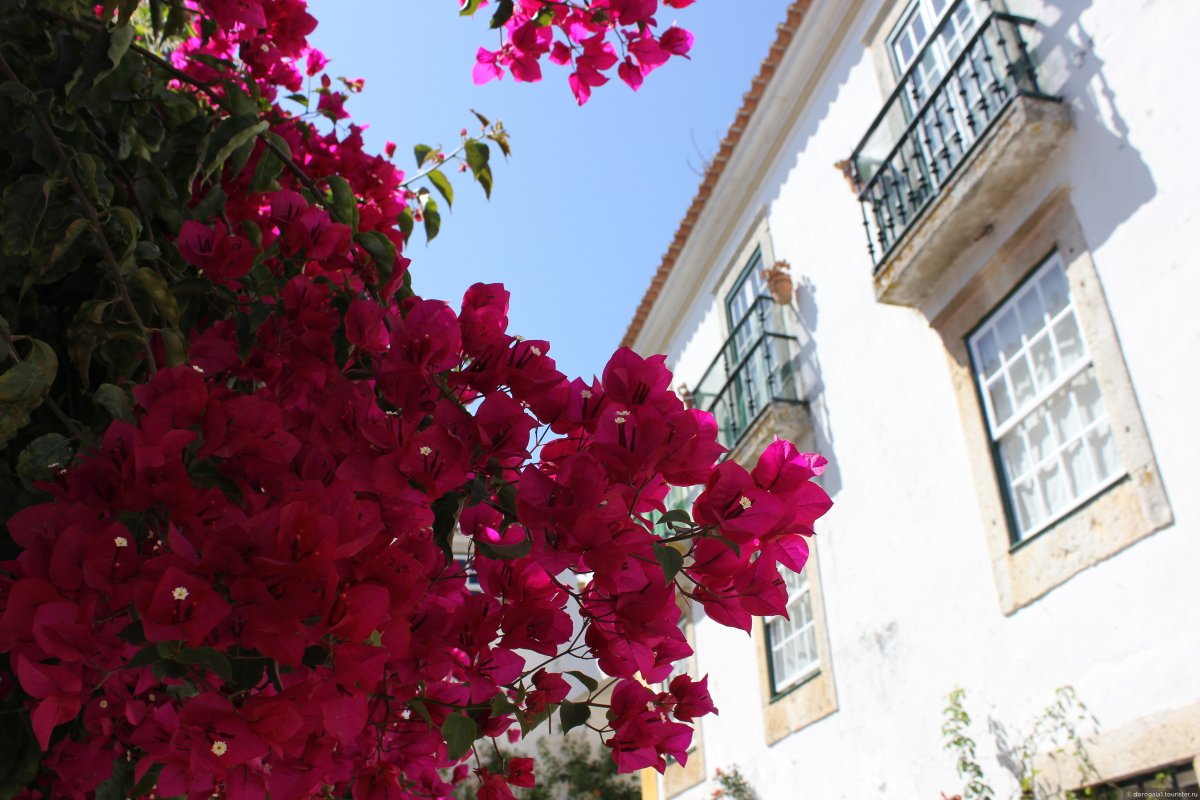 Замок Обидуш