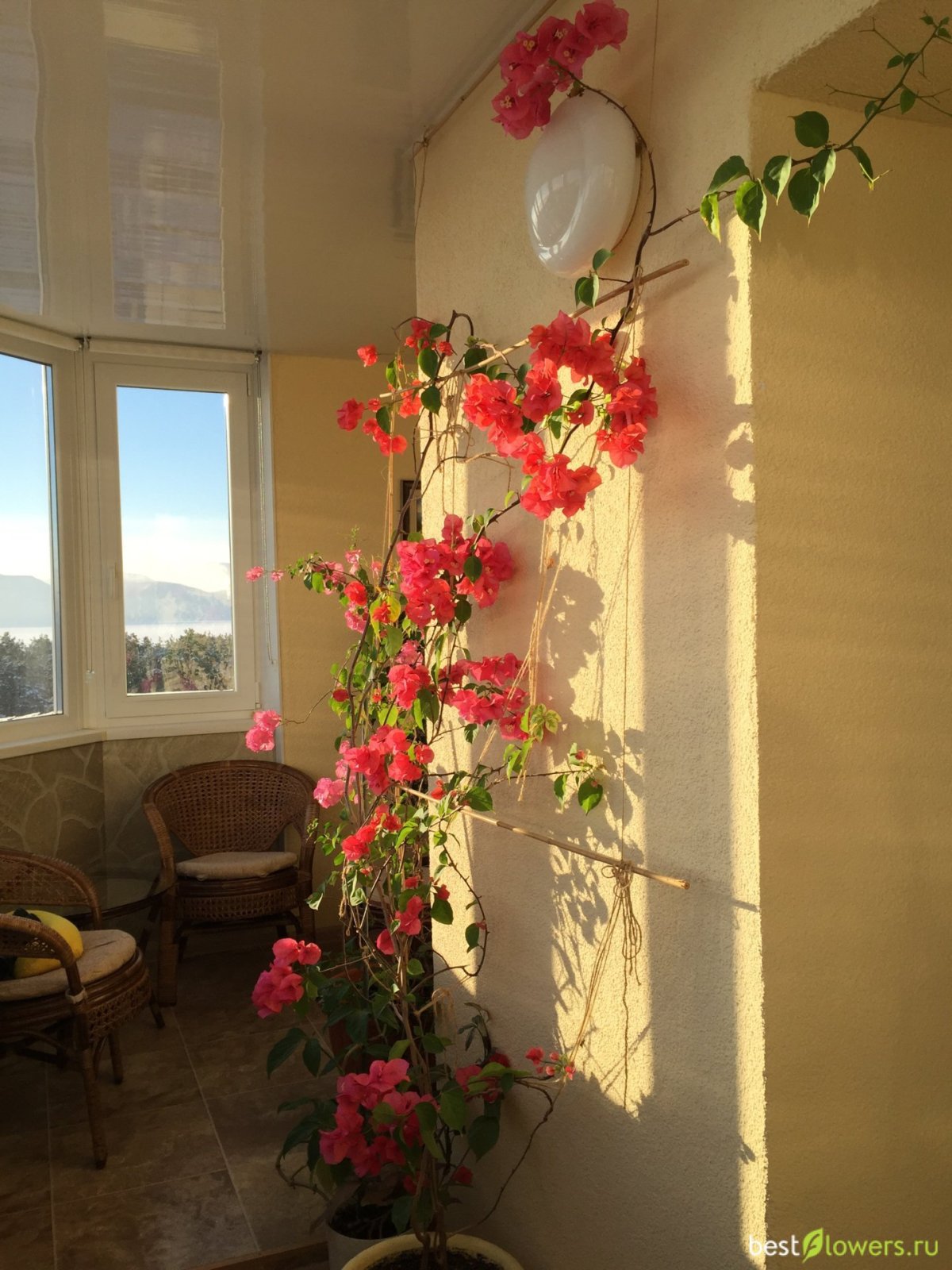 Деревня эз Лазурный берег Франции