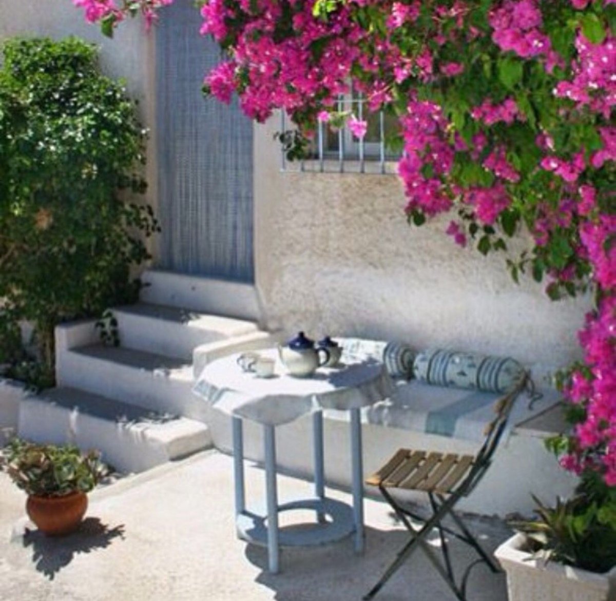 Бугенвиллия Греческая таверна