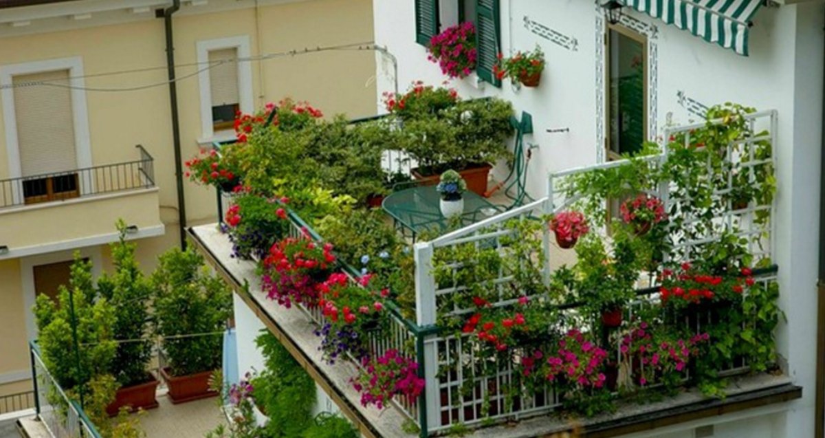 Цветущие балконы