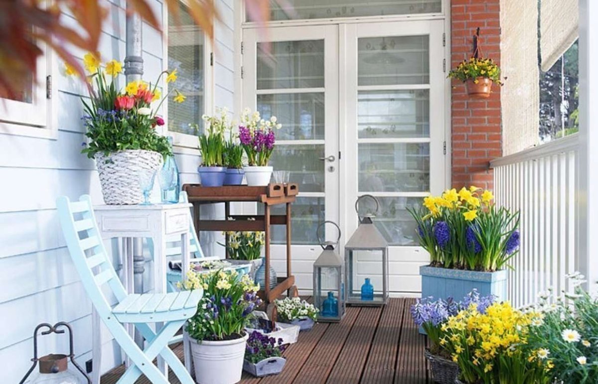 Растения на открытом балконе